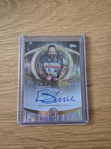 2025 topps wwe universe rick - universe,
