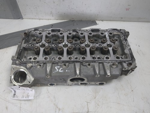 Zylinderkopf für ford - ford, focus