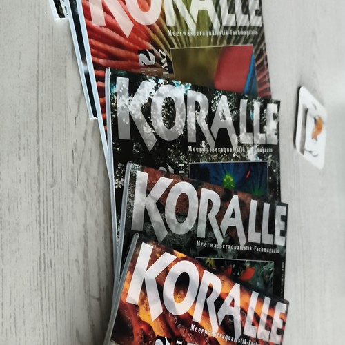 Koralle meerwasseraquaristik - koralle,