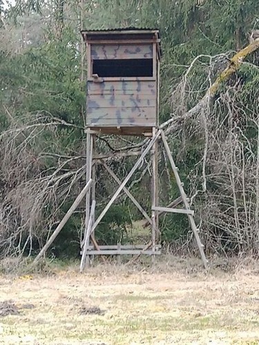 Jagdkanzel hochsitz - jagdkanzel,,
