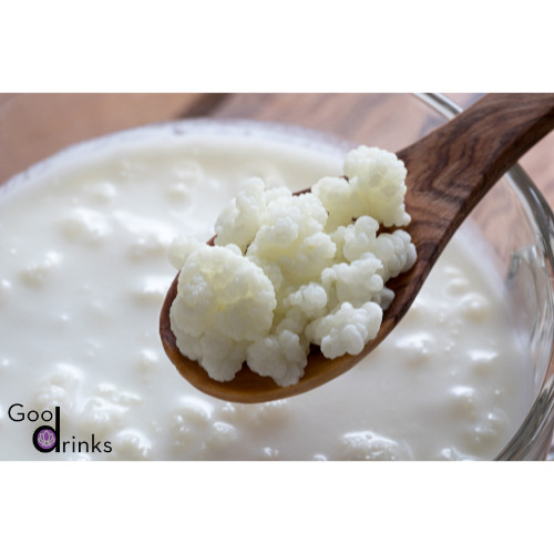 Milchkefir kefirknollen - milchkefir,,