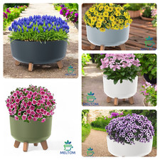 Pflanzschale Schale für Solarbrunnen Blumentopf Schale mit Füßen Grabschale