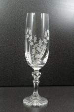 Set  6  Sektgläser aus