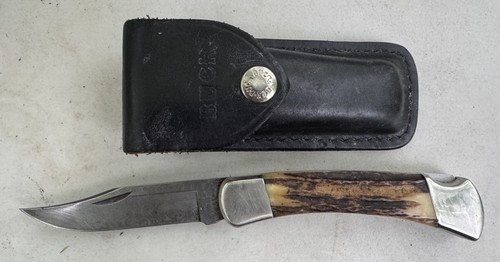 Buck 110 folding - folding, hunter