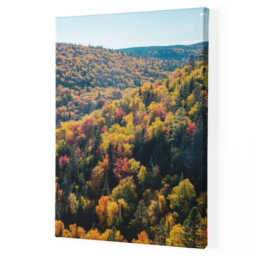 Herbstwald leinwand oder - herbstwald,