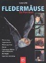 Fledermäuse das praxisbuch - fledermäuse:,
