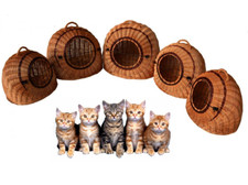 Katzenkorb Fünf Größen 40-60cm Transportkorb Transportbox Katzenbox Weide WIKLER