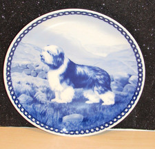 BEARDED COLLIE Original Hunde