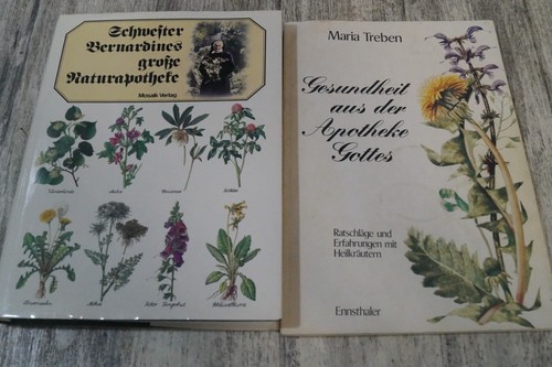 Schwester bernardines große - bernardines,