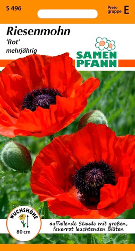 Riesenmohn rot der - riesenmohn,