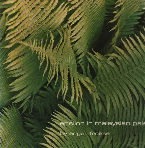 Edgar froese epsilon in - froese,