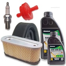 Wartung Tecumseh OHV 110 115