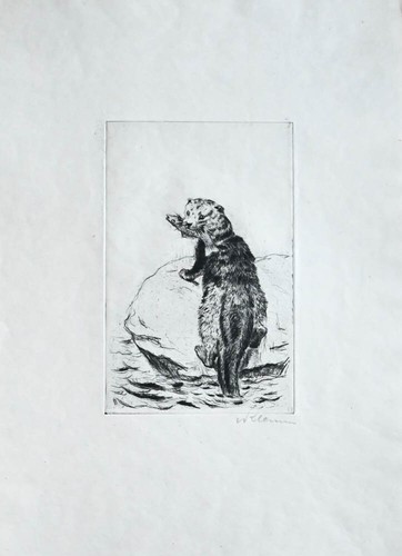 C1930 otter fischotter walter - c1930,
