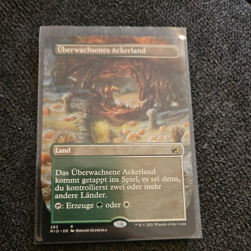 Magic the gathering - gathering,