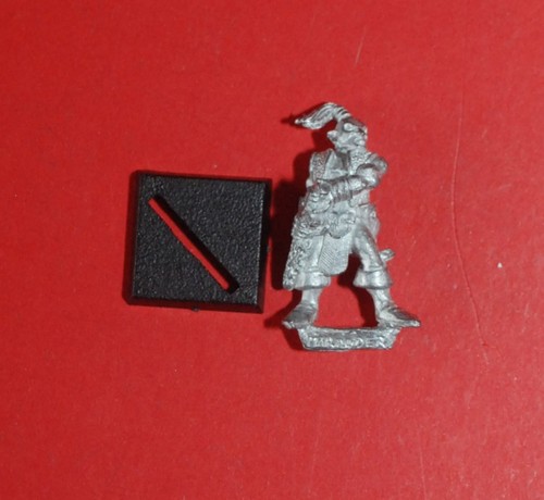 Warhammer marauder - -,