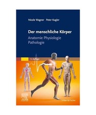 Der menschliche Körper: Anatomie Physiologie Pathologie 