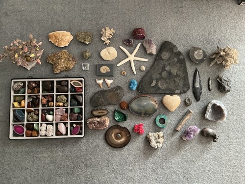 Edelstein sammlung fossilien - edelstein,