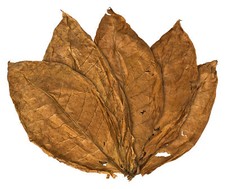 Orient Samsoun Tabakblätter