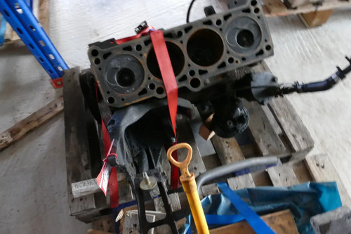 Polo lupo block - 6n,
