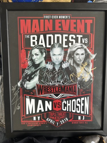 Wrestlemania main event - 35,