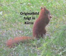 kleines gerahmtes Ölgemälde