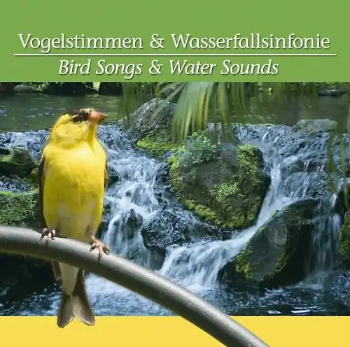 Various vogelstimmen - -,