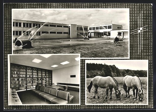 Walsrode han - ak, /han