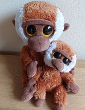 TY Beanie   Beanie - The