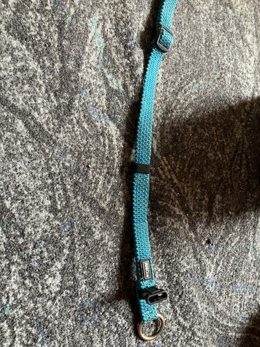 Hunde halsband - hunde,