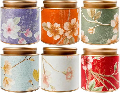 Tooget tea tin canisters - tin, 6pcs