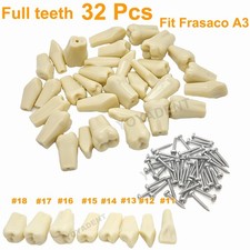 Dental Zahnmodell Fit Frasaco