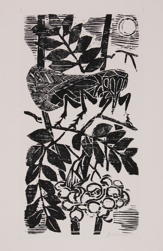 Willem grimm - grimm, (1904-1986)