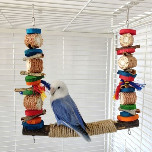 Vogelschaukel für käfig - für,