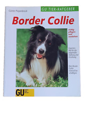 Border Collie richtig pflegen