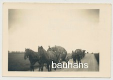 Foto Pferdegespann Wehrmacht