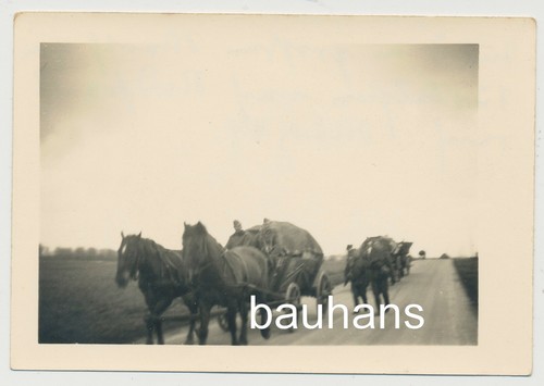 Foto pferdegespann wehrmacht - foto,
