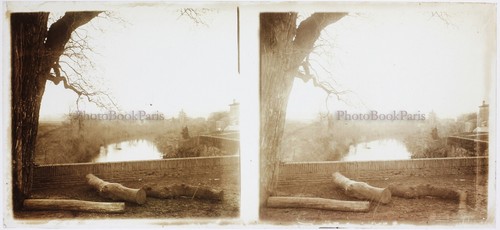 Frankreich baumstamm foto - baumstamm,