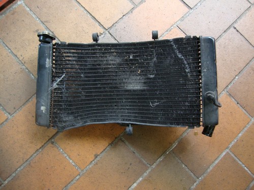 Cbr 900 sc33 kühler - 900,
