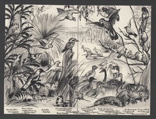 Originalzeichnung Wilhelm