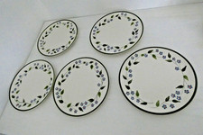 5 Kuchenteller SMF Schramberg