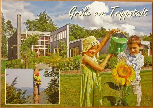 Grüße aus trippstadt - aus,