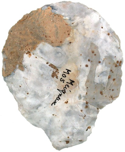 Neandertaler faustkeil biface - faustkeil,