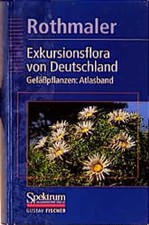 Rothmaler - Exkursionsflora