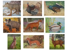 Tierbild Papierauflage Scheibenauflage Zielscheibe Bogensport Bogenschiessen