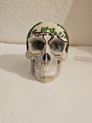 Totenschädel totenkopf skull - totenkopf,