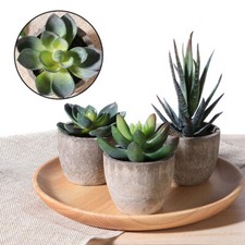 3tlg k??nstliche Fake Sukkulenten Pflanze Mini Topfpflanzen Bonsai Garten Dekor