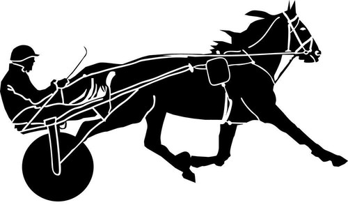 Aufkleber pferd pferdesport - -,