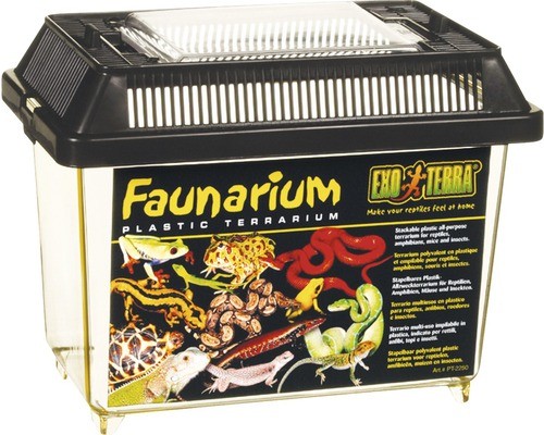 Transportbehälter faunarium - transportbehälter,