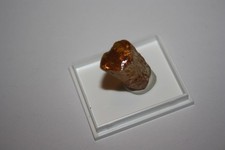 Kopal (Copal) San Diego Suarez