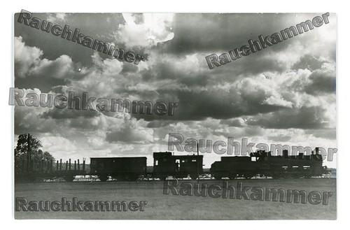 Orig foto dla - bellingrodt,
